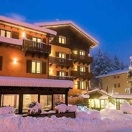 Pineta Hotel 3*