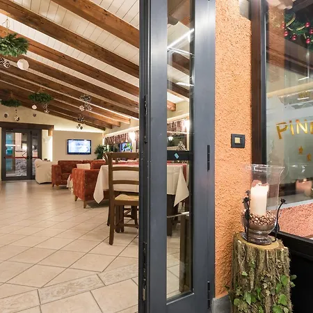 Hotel Pineta 3*