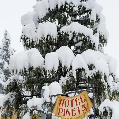 Hotel Pineta 3*
